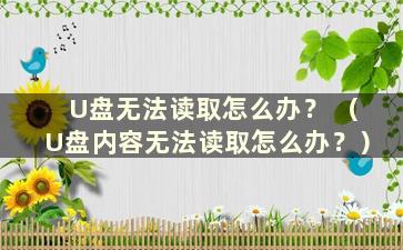 U盘无法读取怎么办？ （U盘内容无法读取怎么办？）